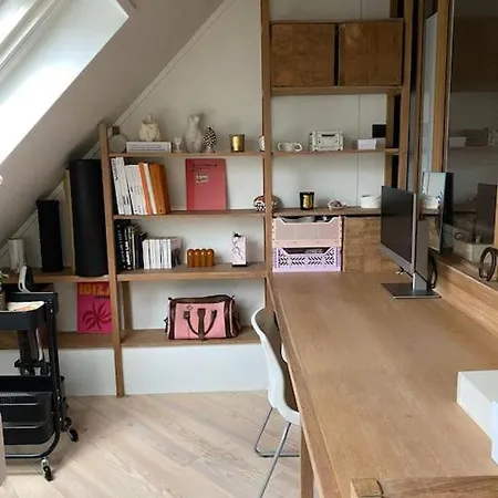 Appartement Loft Vue Tour Eiffel Avec Balcon Suresnes